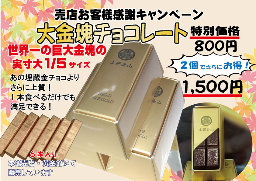 大金塊チョコレート２個でお得横ver